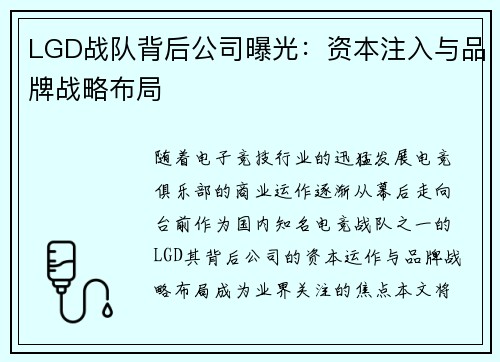 LGD战队背后公司曝光：资本注入与品牌战略布局